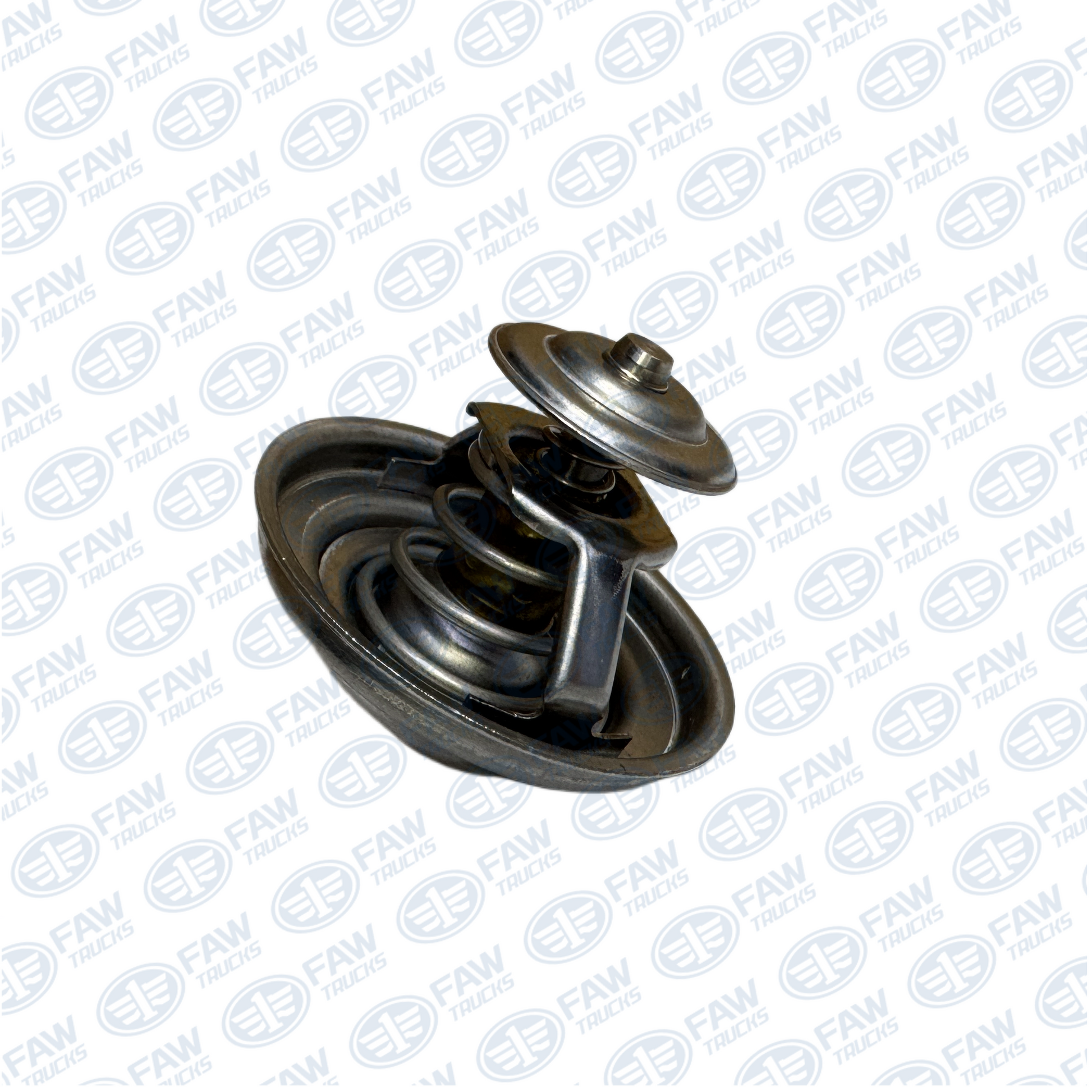 Termostato 1306010-81D