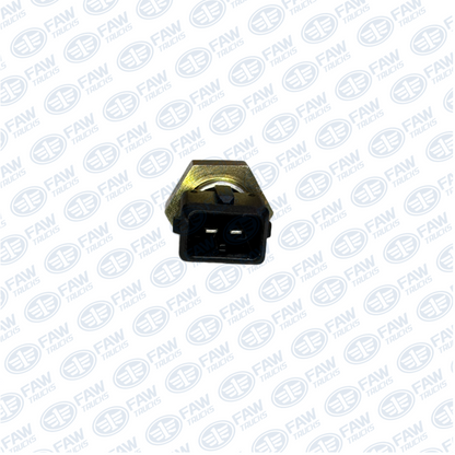 Sensor de Temperatura 3602155-60D